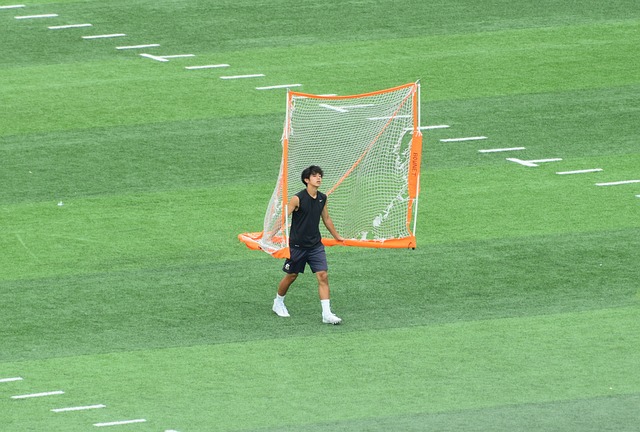 全面释放 全面释放