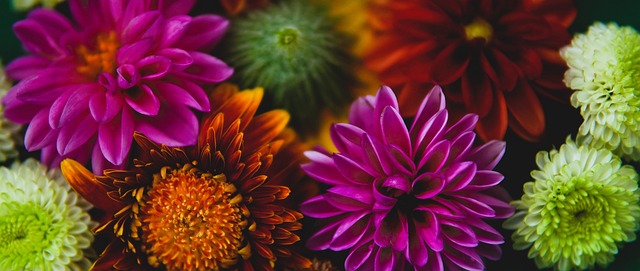 全民皆兵 全民皆兵